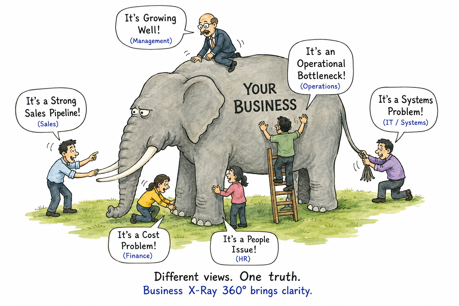 Business X-Ray elephant visual